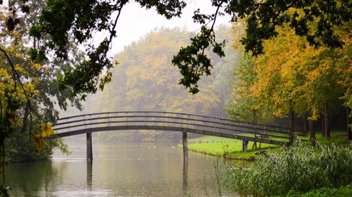 Arched wooden footbridge over a misty pond in autumn
